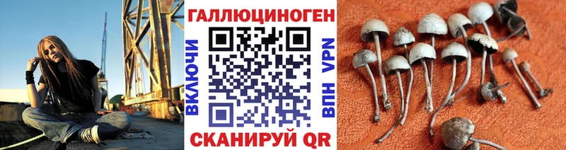 Псилоцибиновые грибы Psilocybe  Ясногорск 